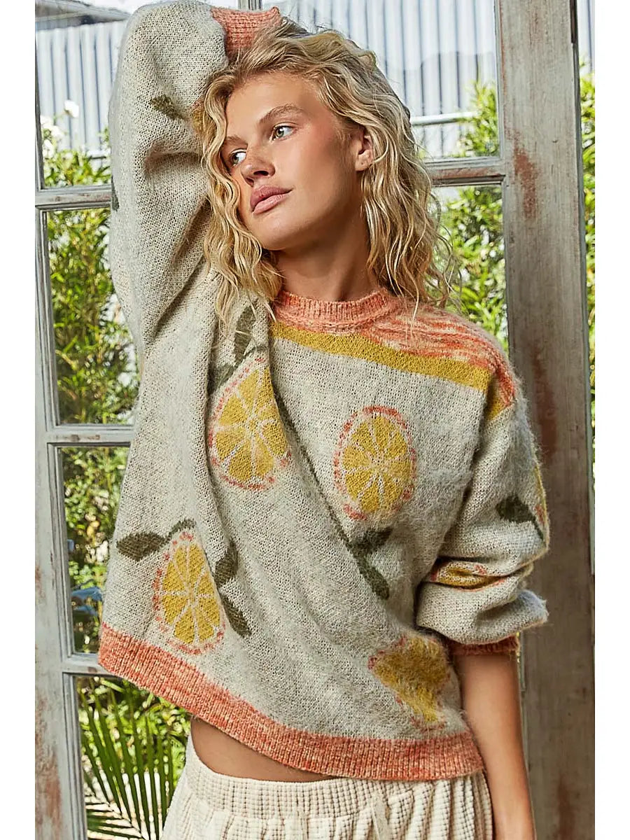 Long Sleeve Fruit Motif Pattern Multi-Colored Sweater Top