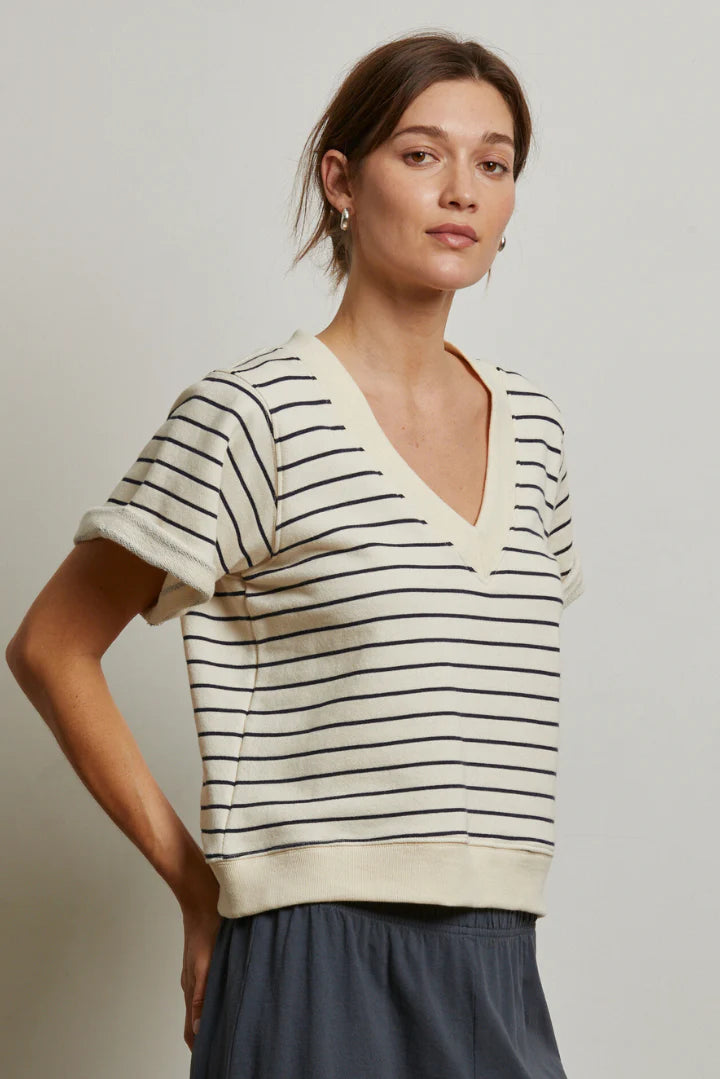 briggs stripe