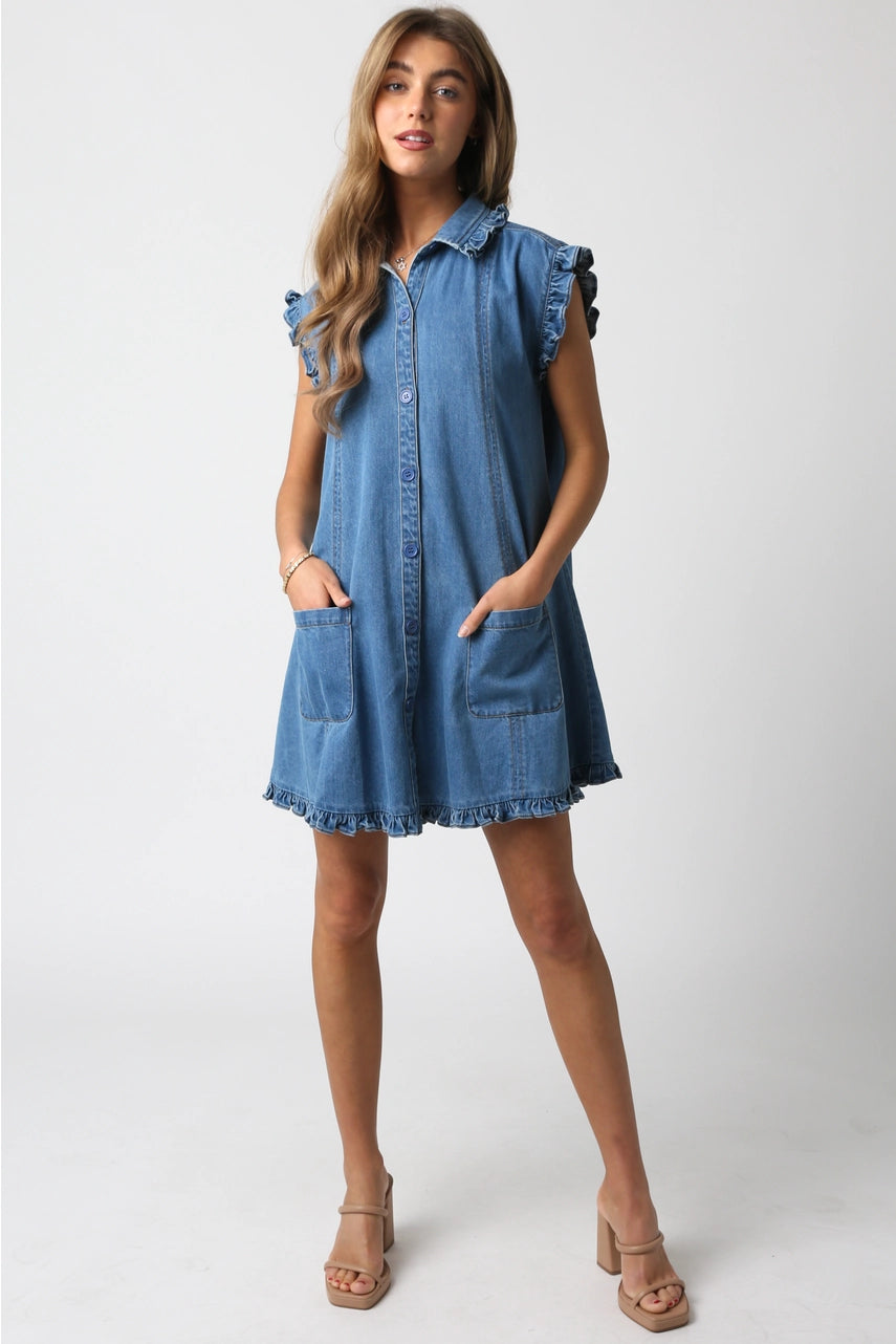 Brooke Denim Dress