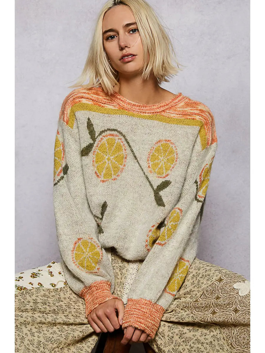 Long Sleeve Fruit Motif Pattern Multi-Colored Sweater Top