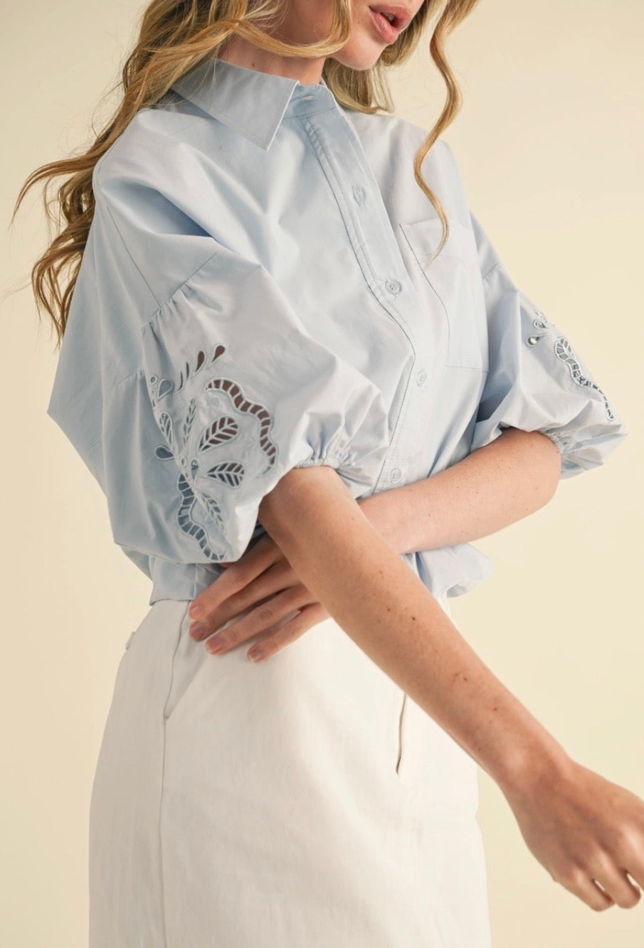 Cut Out Embroidered Bubble Sleeve Top