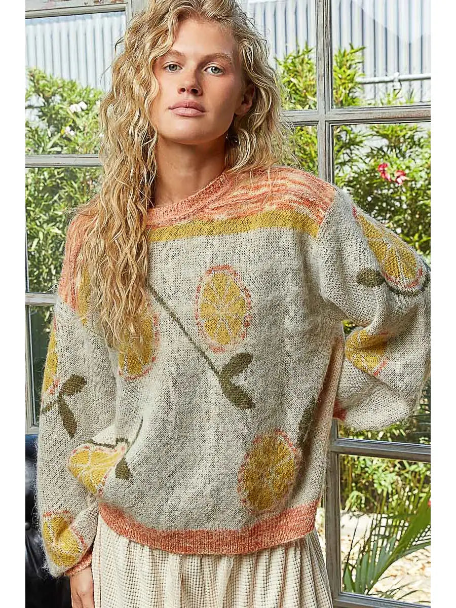 Long Sleeve Fruit Motif Pattern Multi-Colored Sweater Top