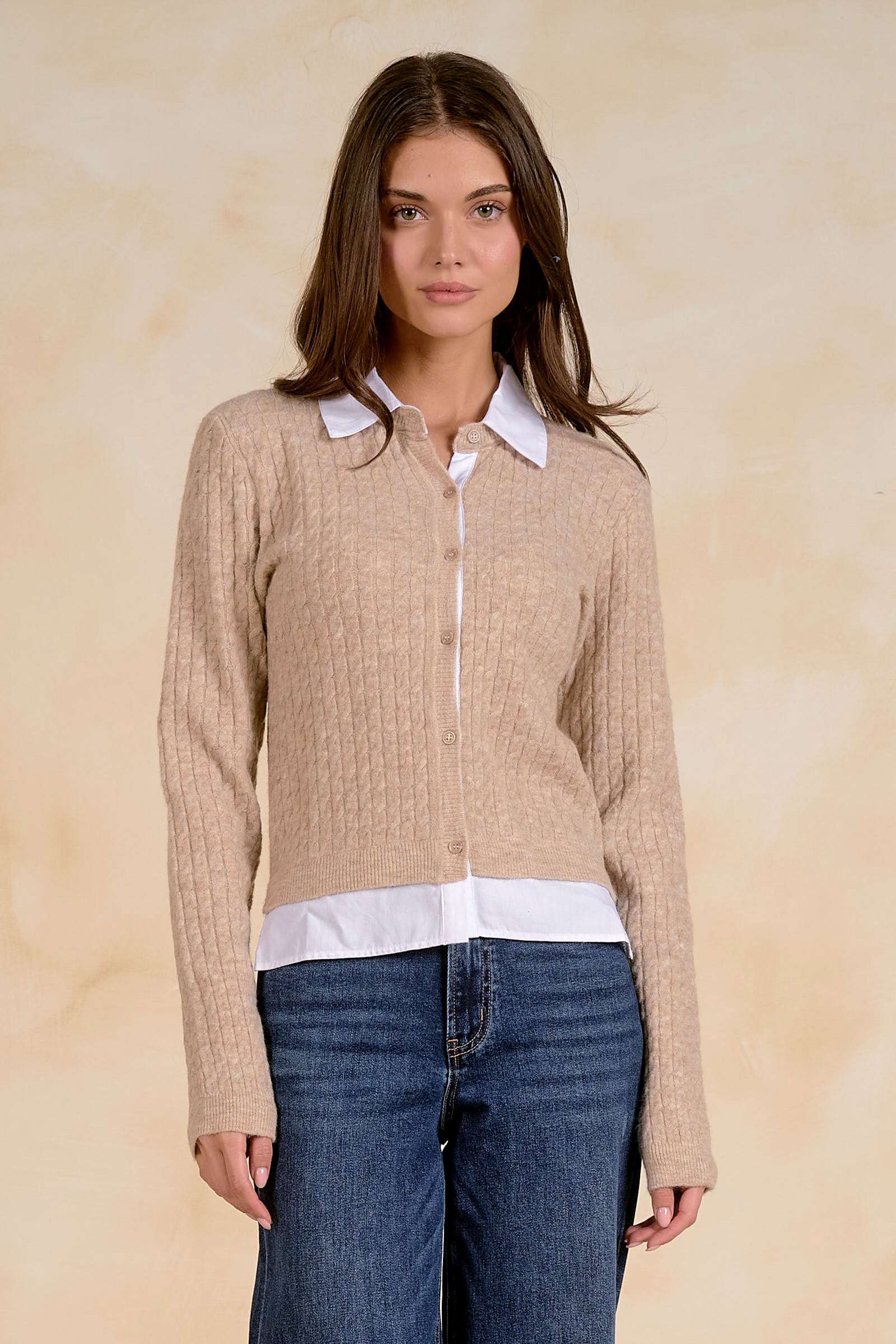 Pop of Collar Sweater